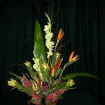 Tropicals $225