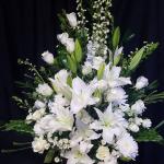 $230 Roses, lilys, mum, spray roses, white delphinium, braided leaves 